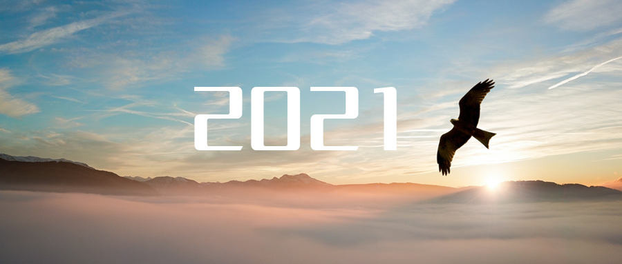 乘“峰”而上，智“盈”未來 ——2021年盈峰環(huán)境高級資深副總裁新年開工動(dòng)員